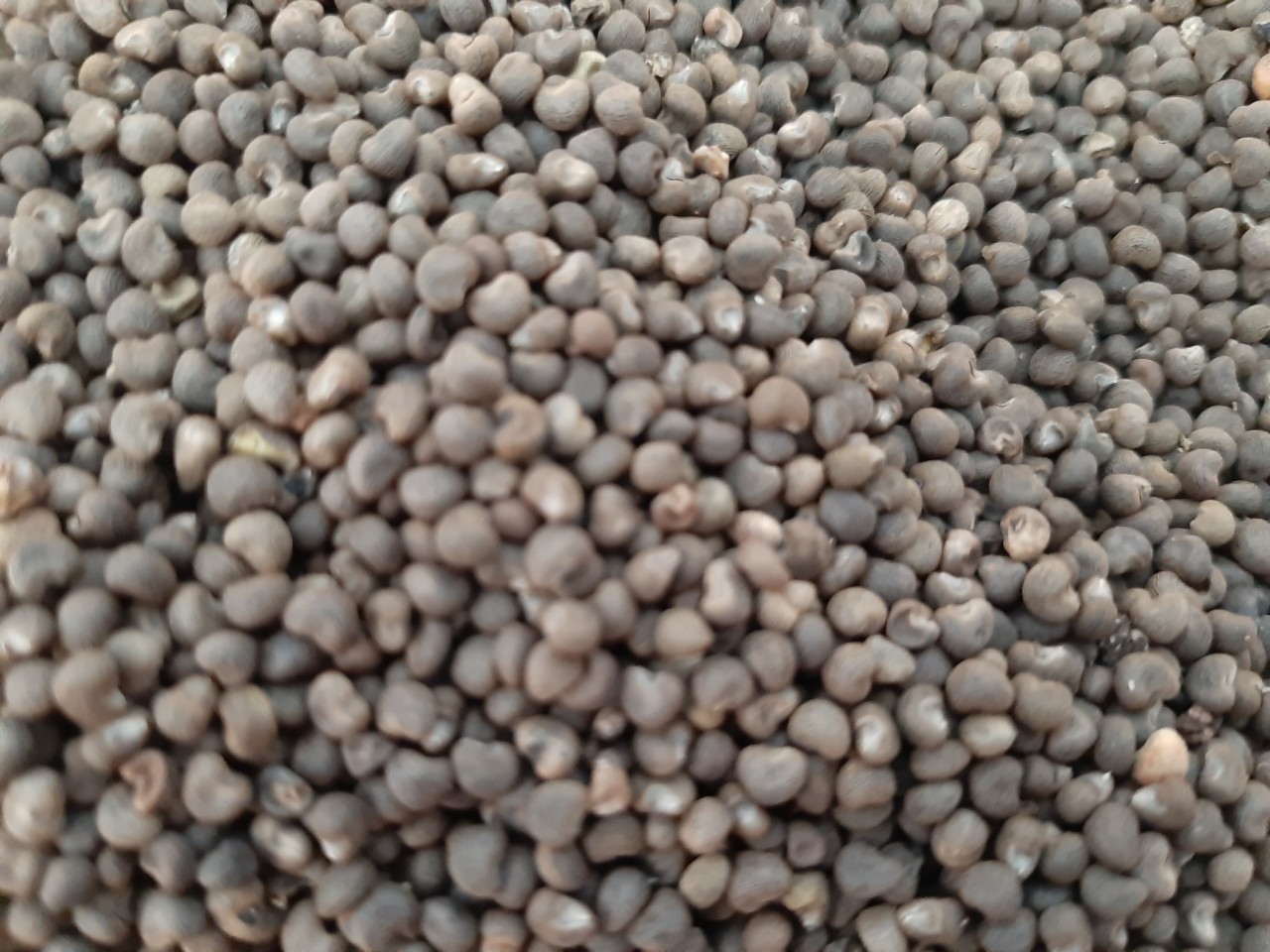 80dcdab2e26f06315f7e - Copy.jpg