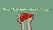 mot-so-bai-thuoc-chua-benh-gan.jpg