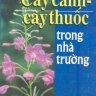 Cây cảnh cây thuốc trong nhà trường