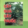 Cây quả cây thuốc