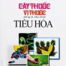 Cây thuốc vị thuốc phòng và chữa bệnh tiêu hóa