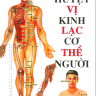 Huyệt vị Kinh Lạc cơ thể người