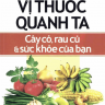 Những vị thuốc quanh ta