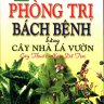 Phòng trị bách bệnh bằng cây nhà lá vườn